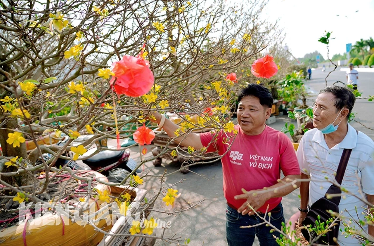 Khu vực bán hoa mai tại chợ hoa quảng trường Trần Quảng Khải (TP. Rạch Giá) thu hút người dân xem mua khá đông. Ảnh: TÂY HỒ